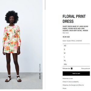 Zara Floral Print Dress - L - NWT